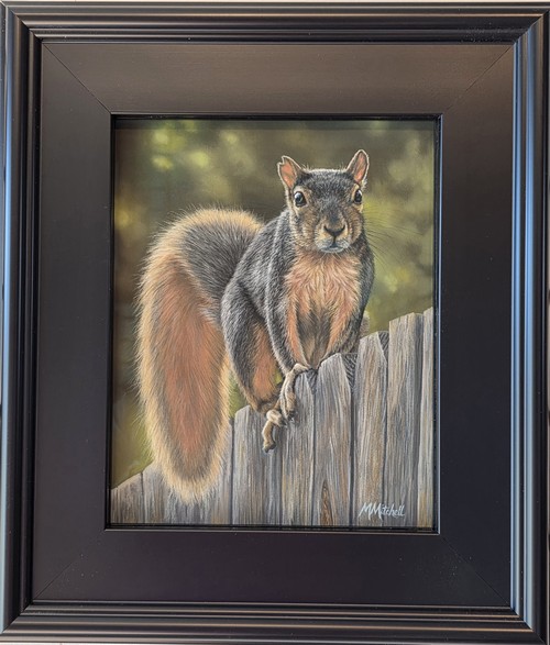 Click to view detail for Notch - Fox Squirrel 10x8 $550